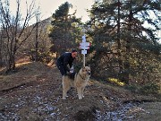 36 Alla Selletta di Corone-3 Gobbe-incrocio di sentieri (1073 m)